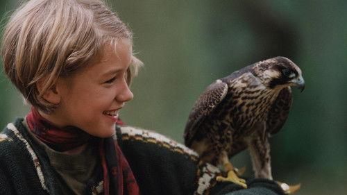 Katja's Adventure filmas žiurėti online