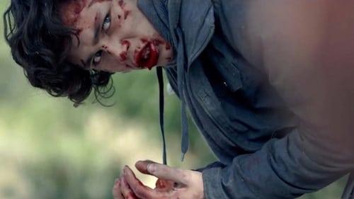 The Stranger filmas žiurėti online