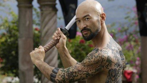 Falcon Rising filmas žiurėti online