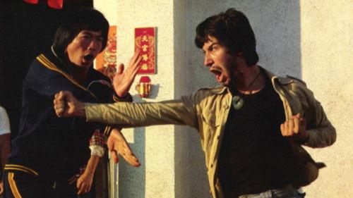 The Lama Avenger filmas žiurėti online