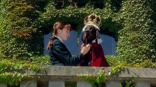 The Duke filmas žiurėti online