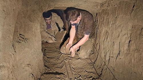 Tunnel to Freedom filmas žiurėti online