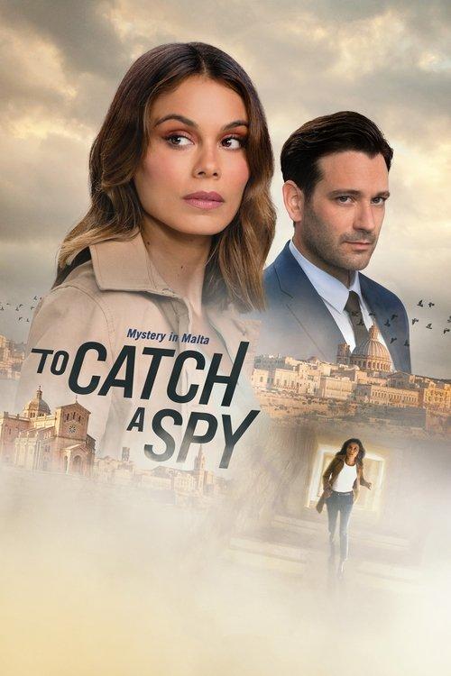To Catch a Spy filmas online