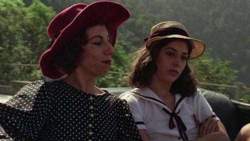 The Brazilwood Man filmas žiurėti online