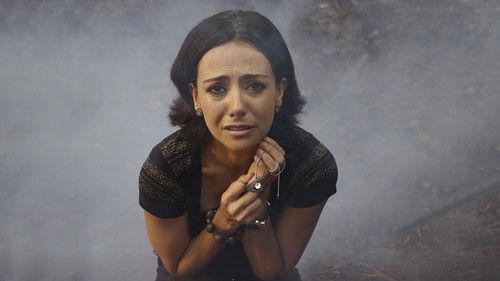 The Book of Stone filmas žiurėti online