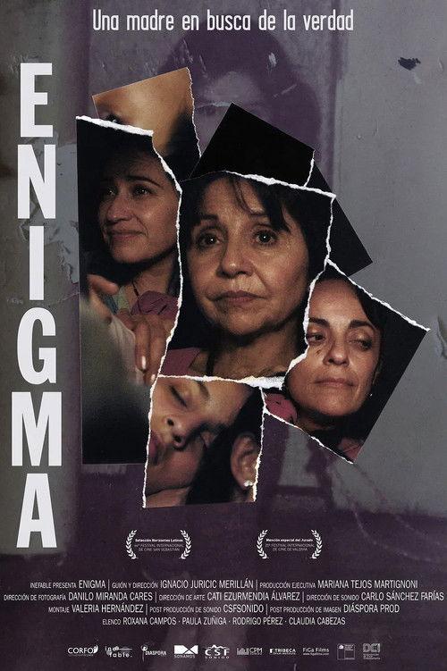 Enigma filmas online