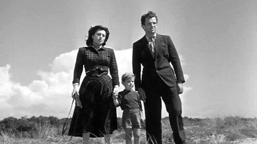 Woman Trouble filmas žiurėti online