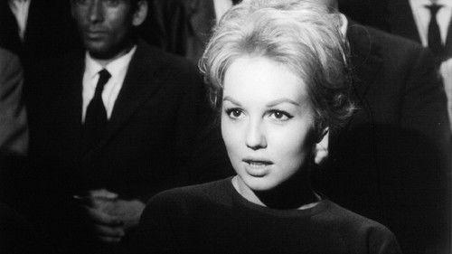 Love in Rome filmas žiurėti online