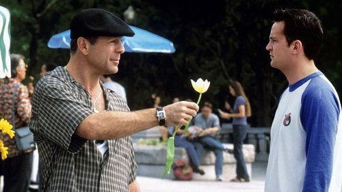 Devyni jardai filmas žiurėti online