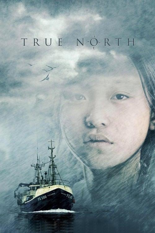True North filmas online