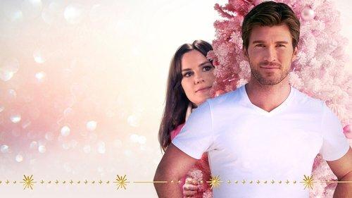 Mr. 365 filmas žiurėti online