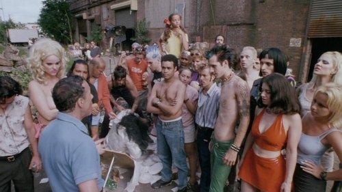 Terror Firmer filmas žiurėti online