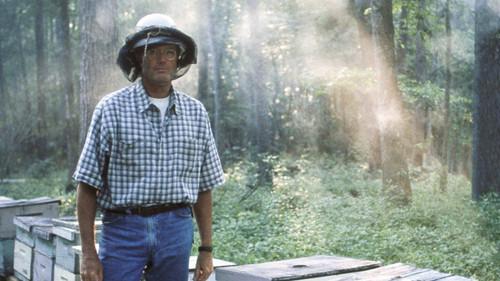 Ulee's Gold filmas žiurėti online