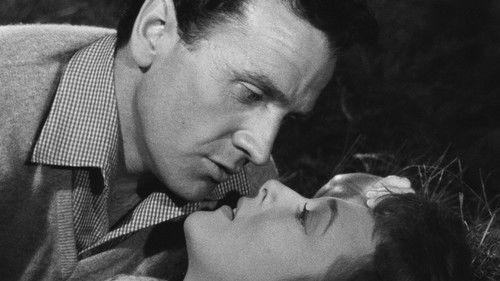 The Love of a Woman filmas žiurėti online