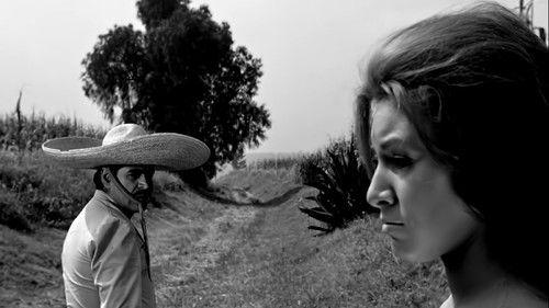 Crosses Over the Wasteland filmas žiurėti online