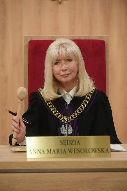 Sędzia Anna Maria Wesołowska filmas online