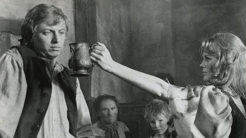 Where's Jack? filmas žiurėti online