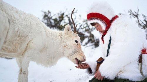 Stöld filmas žiurėti online