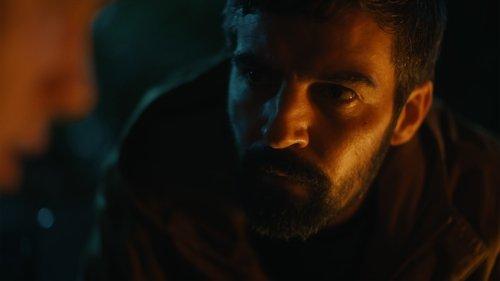 Amongst the Wolves filmas žiurėti online