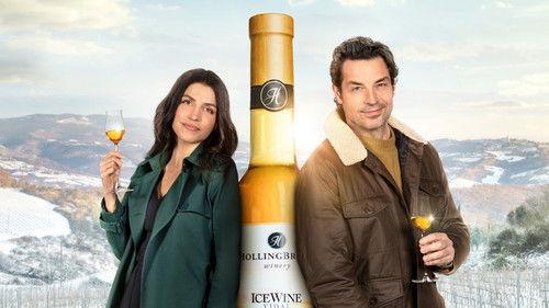 The Perfect Pairing filmas žiurėti online