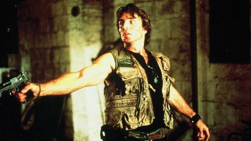 The Final Sanction filmas žiurėti online