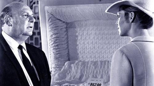 Rogue's Gallery filmas žiurėti online