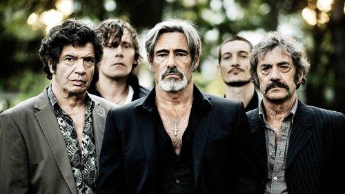 Liono gauja filmas žiurėti online