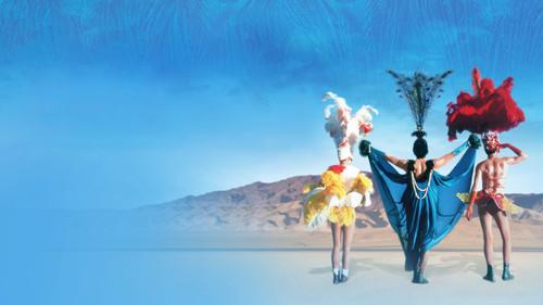 The Adventures of Priscilla, Queen of the Desert filmas žiurėti online