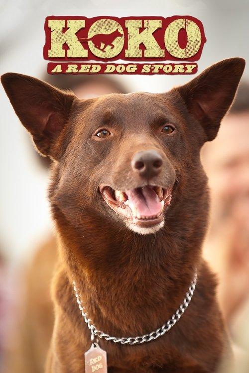 Koko: A Red Dog Story filmas online