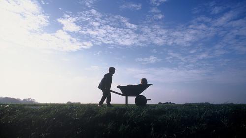 The Art of Crying filmas žiurėti online