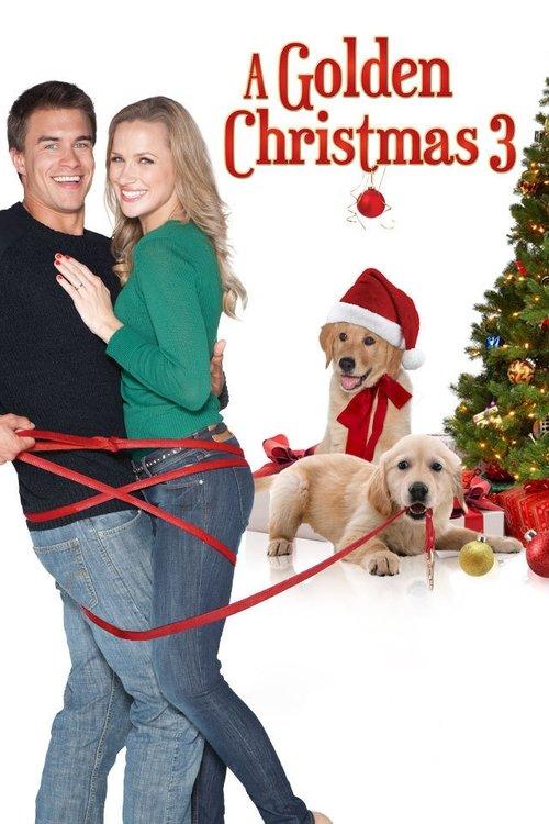 A Golden Christmas 3 filmas online