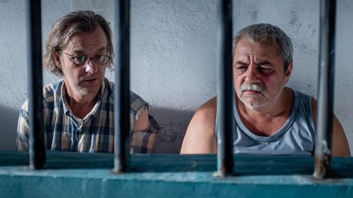 Afacerea Est filmas žiurėti online