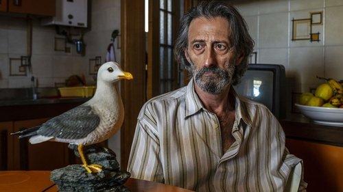 The Finch Thief filmas žiurėti online