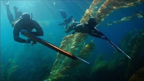 Whisper Breach filmas žiurėti online