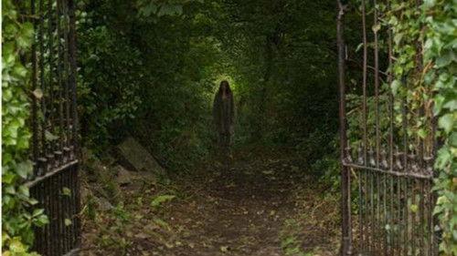 The Rafters filmas žiurėti online