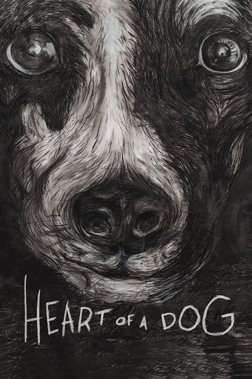 Heart of a Dog filmas online