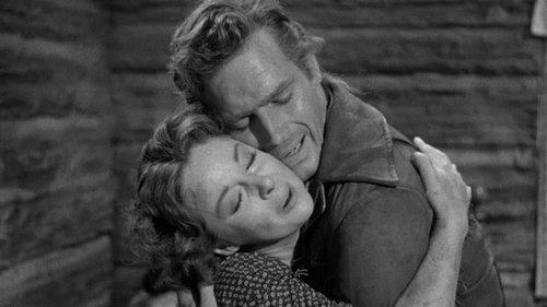 The President's Lady filmas žiurėti online