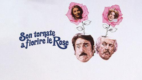 Son tornate a fiorire le rose filmas žiurėti online