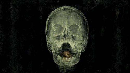 Baimės įlanka filmas žiurėti online