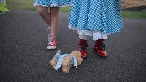 It's Dorothy! filmas žiurėti online