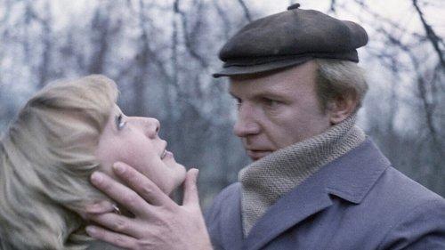 The Morning Round filmas žiurėti online