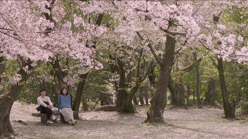 Memories of a Dead End filmas žiurėti online