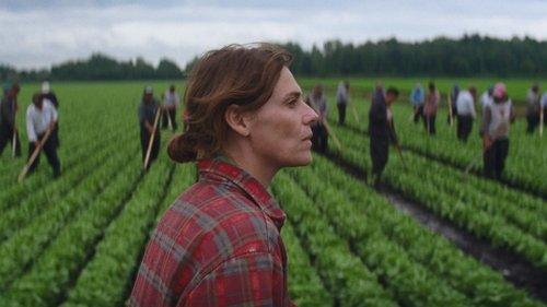 Les oiseaux ivres filmas žiurėti online