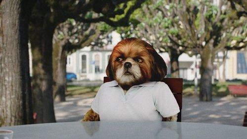 Bruno Aleixo's Film filmas žiurėti online