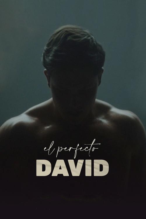 El perfecto David filmas online