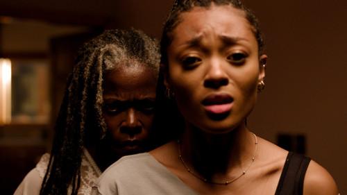 Noseeums filmas žiurėti online