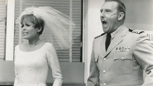 Sergeant Deadhead filmas žiurėti online