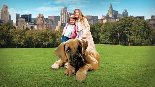 Chestnut: Hero of Central Park filmas žiurėti online
