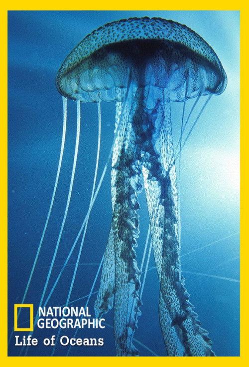 Life of Oceans filmas online