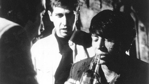 Chin Chin el teporocho filmas žiurėti online